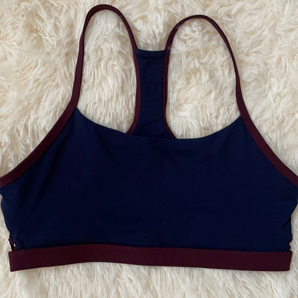 Fabletics Dark Blue & Purple Sports Bra